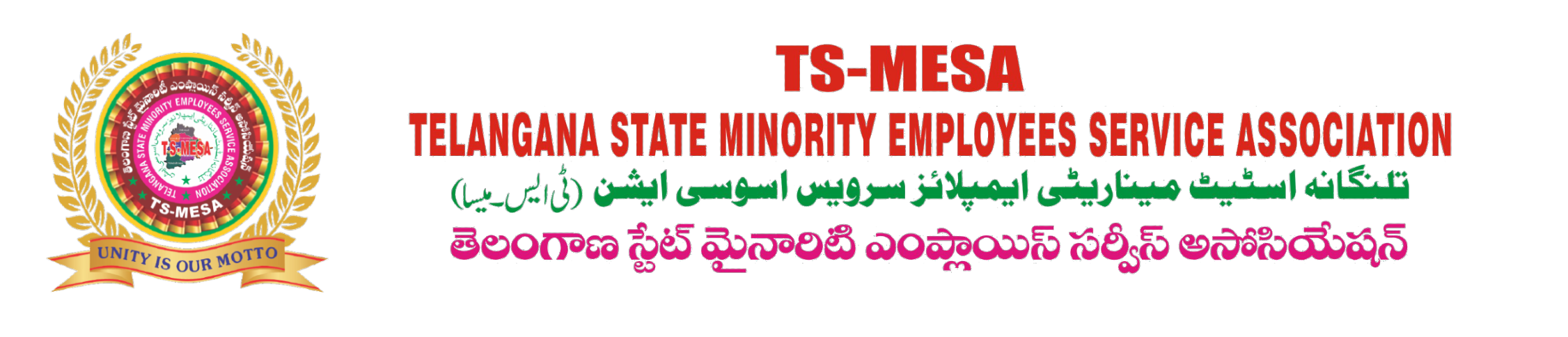 TSMESA