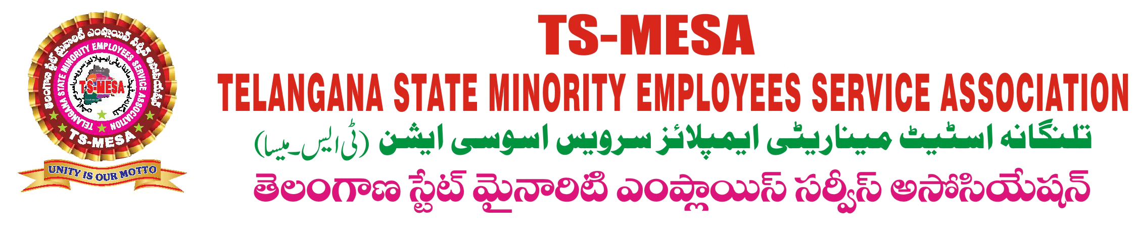 TSMESA